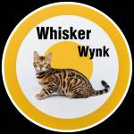 Whisker Wynk Profile Picture