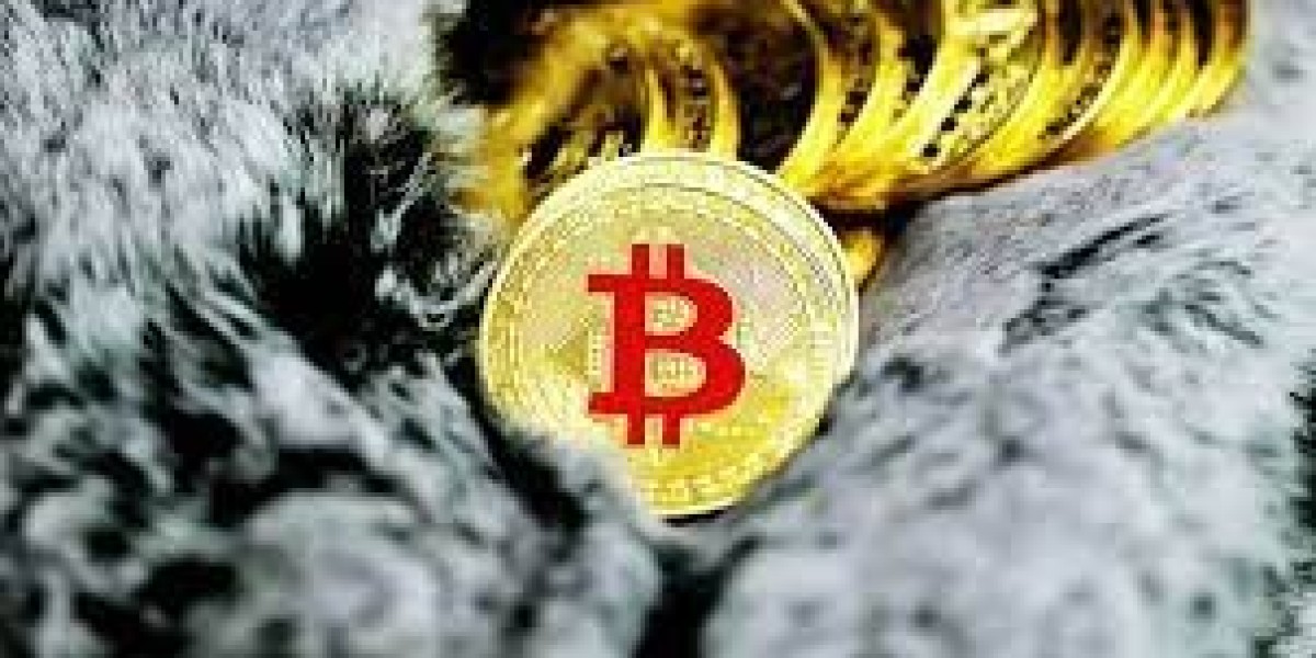 Article Picture