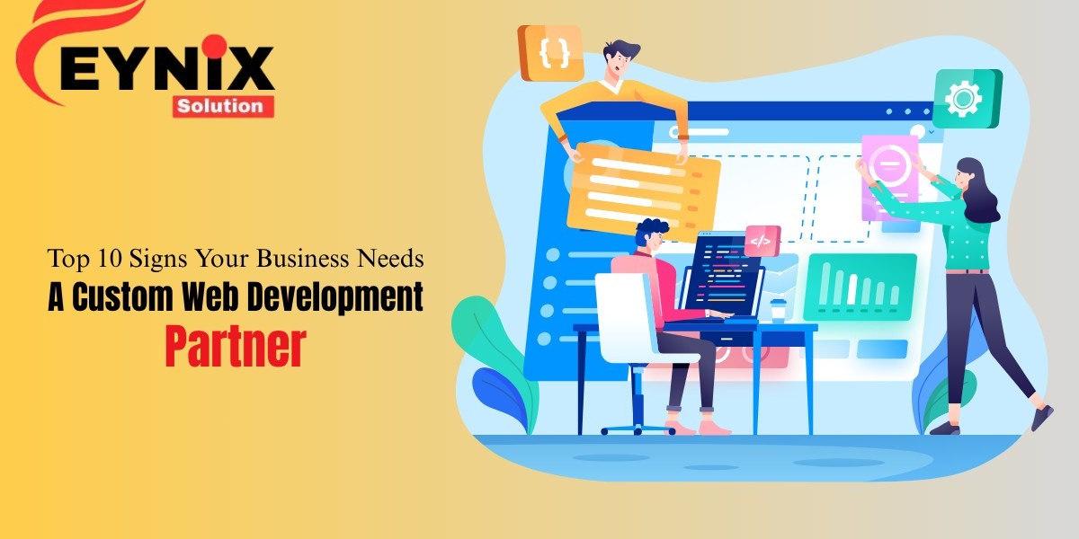 best Custom Web Development Company by Feynix Solution