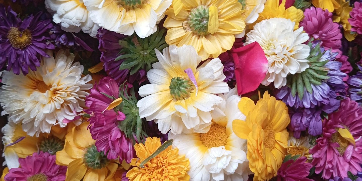 u4gm What POE2 Early Builds Should You Try First Guide