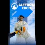 Saffron Exch Profile Picture