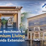 magic ghar Profile Picture