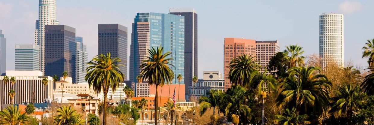 Turkish Airlines Los Angeles Office in USA +1-833-840-8287