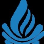 Graphite Density Profile Picture