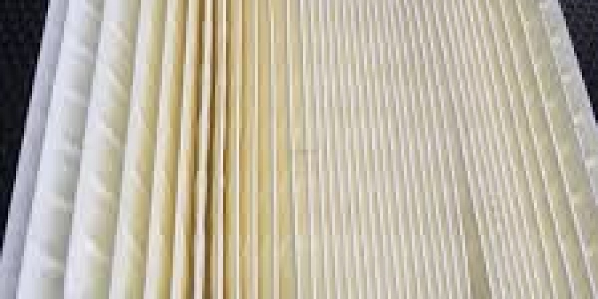 Carbon Impregnated Filter Paper Market Growth Outlook: Urban Pollution Exposure and Building Ventilation Modernization