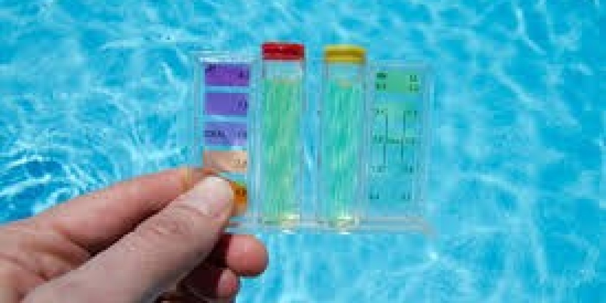 Chlorine & Chlorine Derivatives Market Strategy Report 2025–2034: Challenges, Risk Factors, and Regulatory Constrain