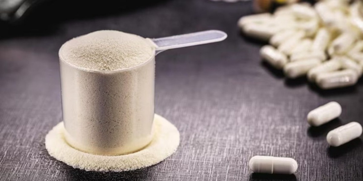 Chondroitin Sulfate Market Strategy Report 2025–2034: Challenges, Risk Factors, and Ingredient Substitution