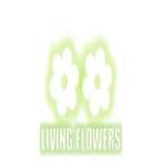 living flowers Profile Picture