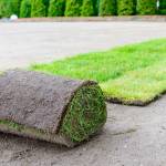 Artificial Grass Installation Arlington Profile Picture