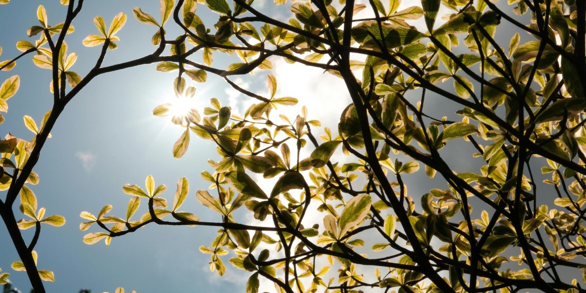 eznpc Where to Farm Night Terror Amulet in Diablo 4