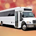 Fleet of party buses Queens Profile Picture