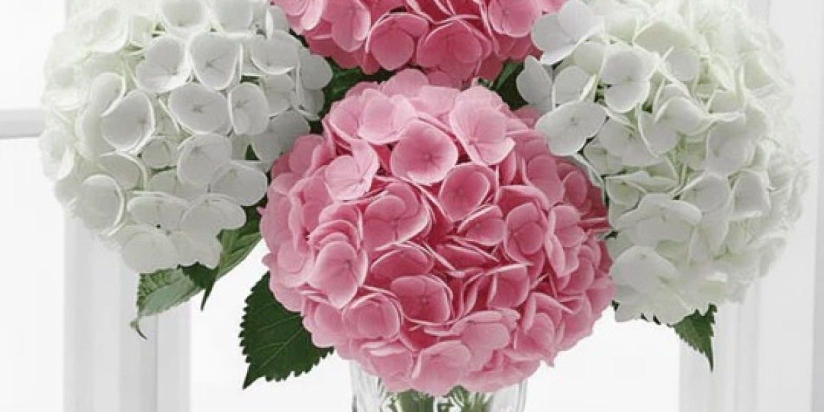 Same Day Flower Delivery in Toronto: Beauty That Arrives Today