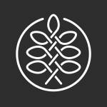 Black Locust Lumber Profile Picture
