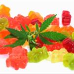 Ronllips Ronllips Profile Picture