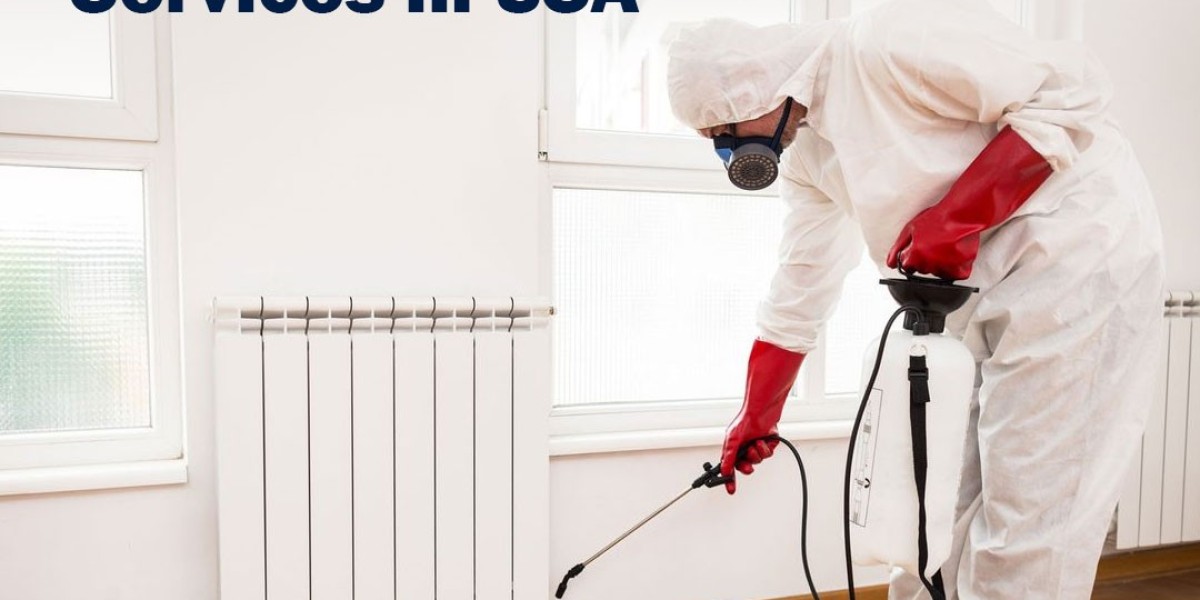 10 Warning Signs You Have a Rodent Infestation and Why Immediate Action Matters