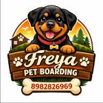 Freya Boarding Profile Picture