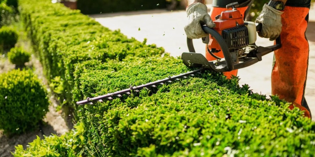 Landscaping Services Grapevine TX for Beautiful Outdoor Spaces