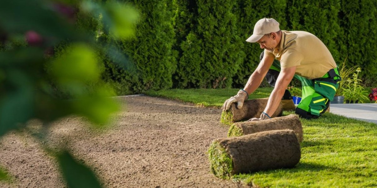 Commercial Landscape Maintenance Frisco TX for Professional Properties