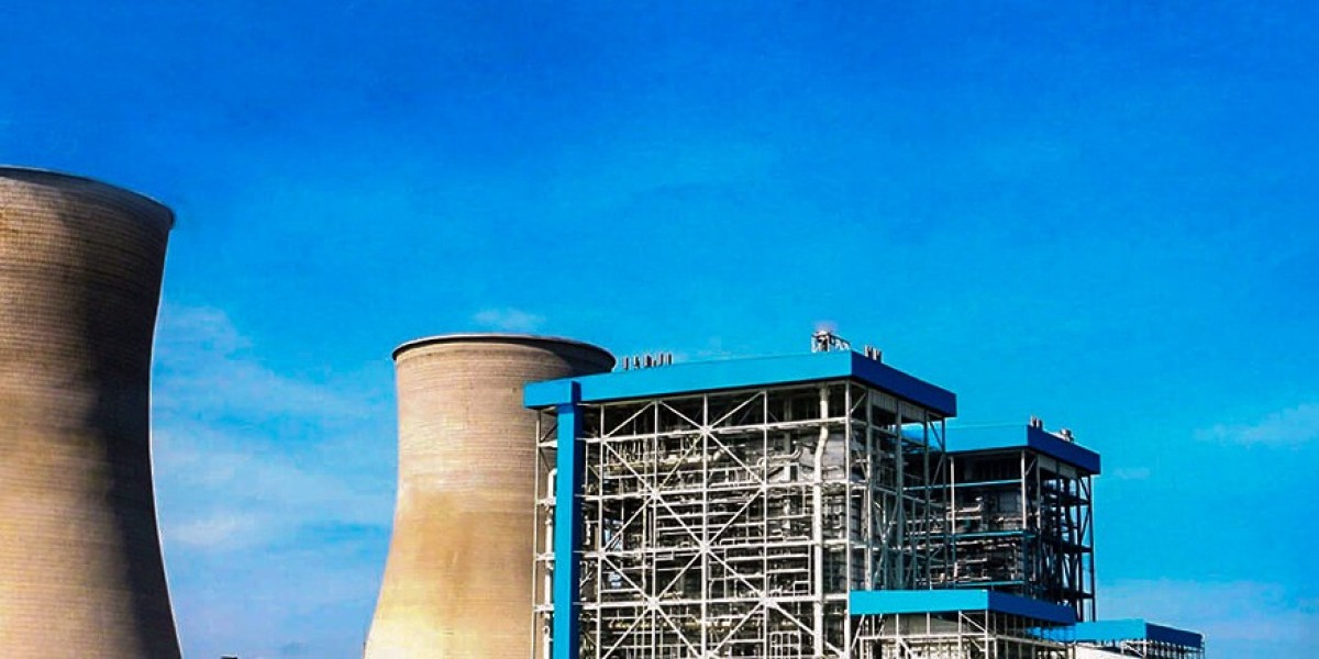 Global Power Infrastructure Innovation, Cross-Border EPC Execution, and Asset Optimization