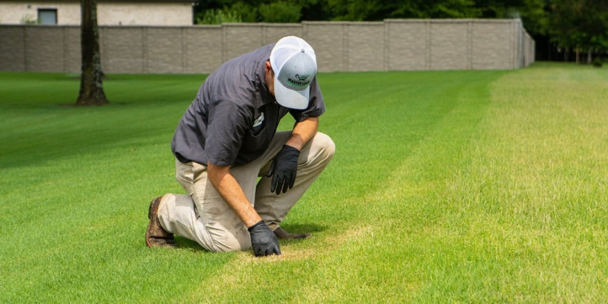 Commercial Landscaping Company Frisco TX for Professional Outdoor Spaces